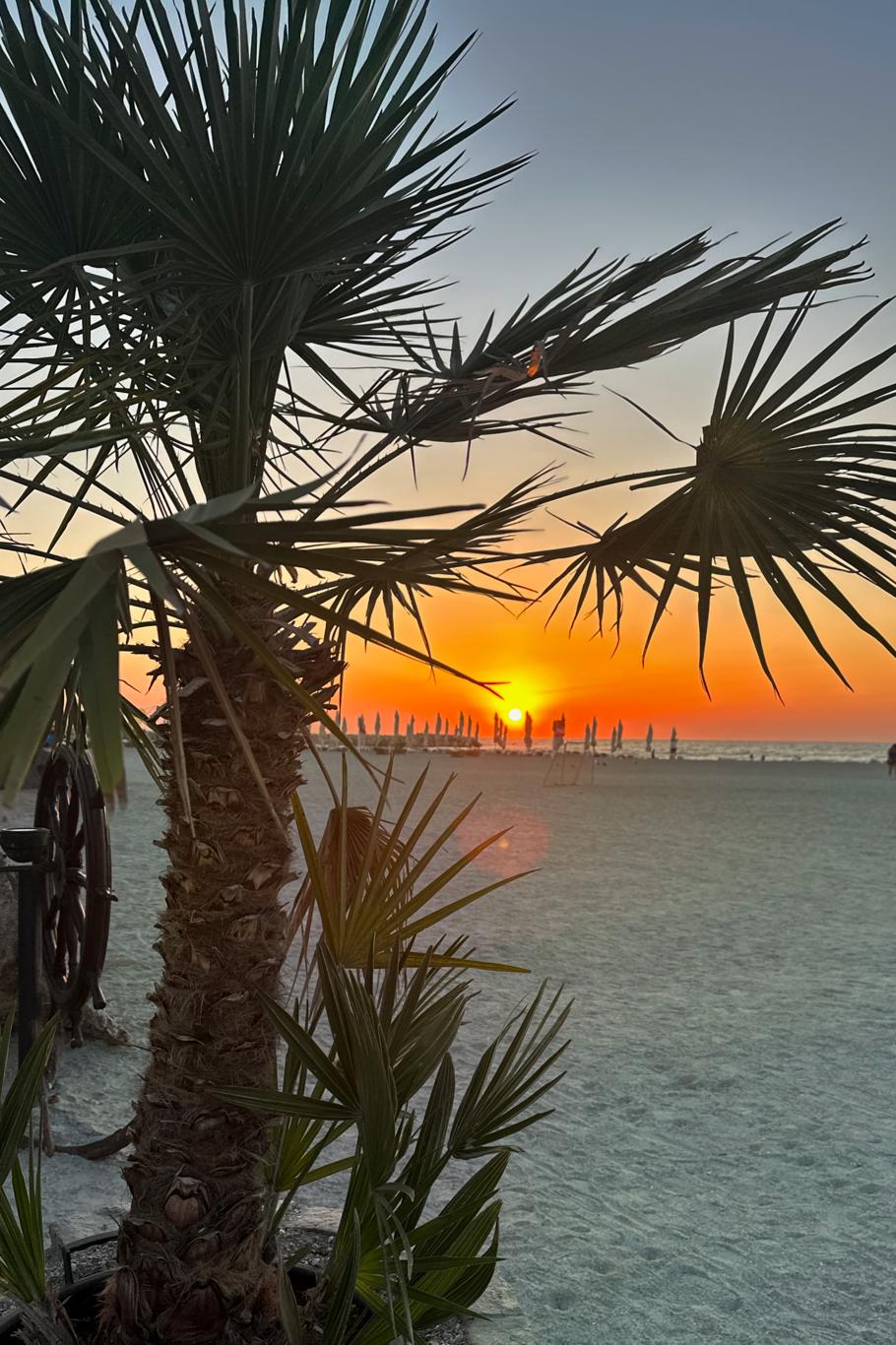 Siluetă de palmier pe fondul unui răsărit dramatic portocaliu pe Marea Neagră